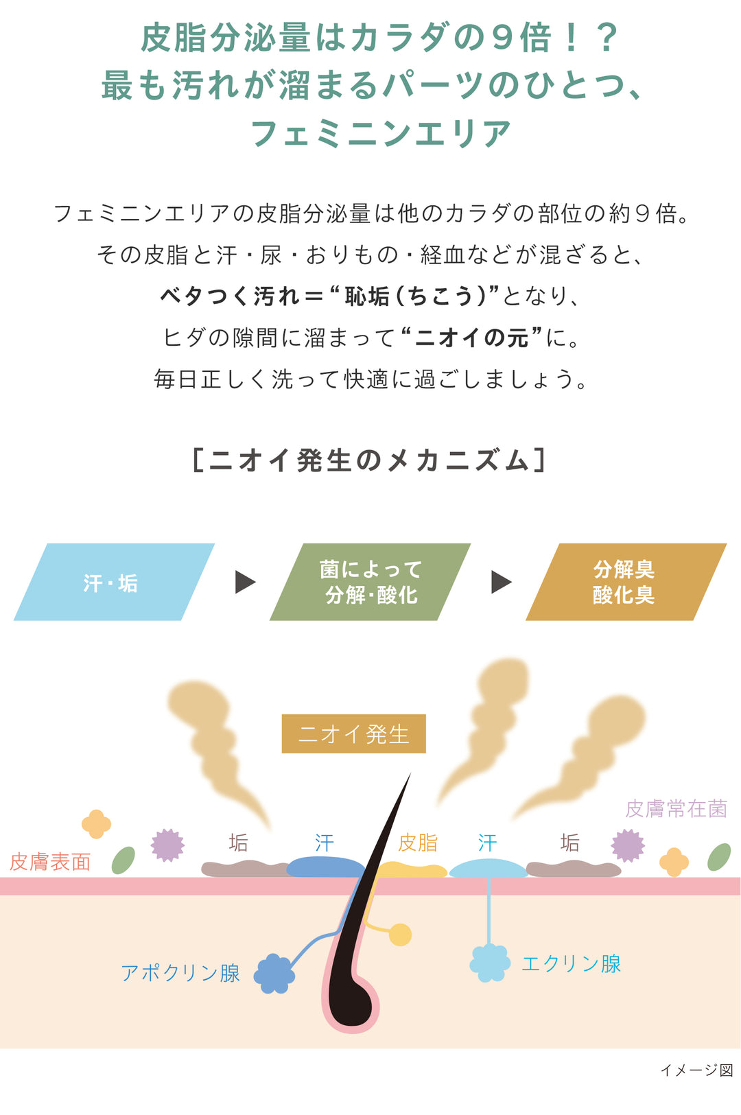 センシュアル フェミニン<br> デオウォッシュ<br> デリケートゾーン用ソープ<br> ニオイ・ムレケア
