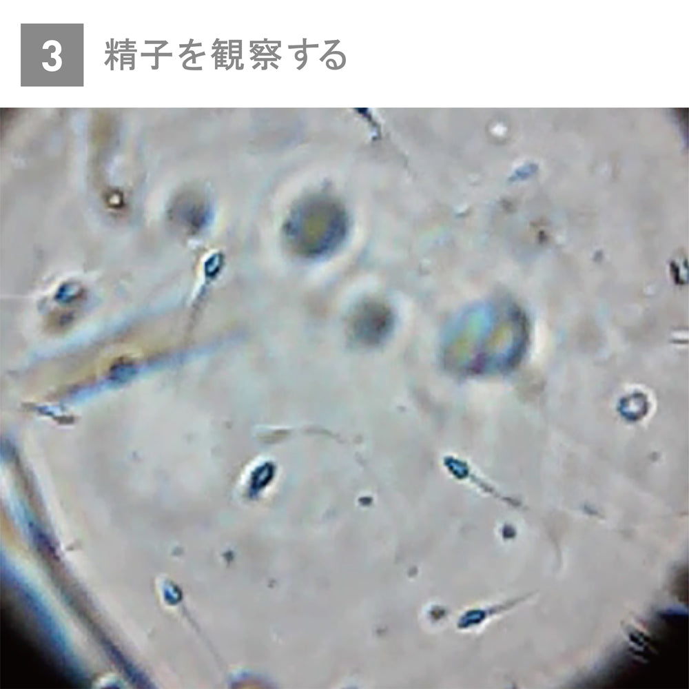 TENGA メンズルーペ