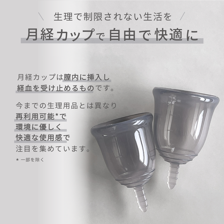 フェミナック plaisie(プレジエ) L