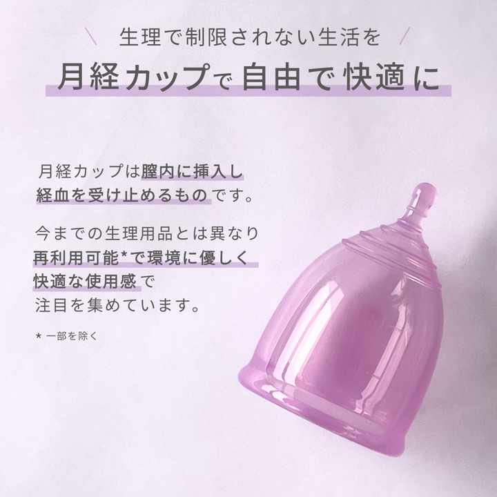 フェミナック laplie(ラプリエ)XL