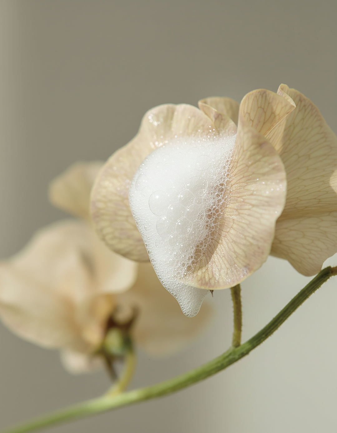 【弱酸性・アミノ酸系の泡ソープ】nulu（ヌル）／pure foam ピュアフォーム 100mL