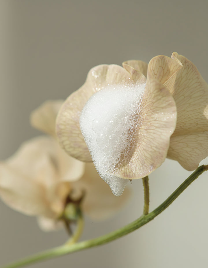 【弱酸性・アミノ酸系の泡ソープ】nulu（ヌル）／pure foam ピュアフォーム 100mL