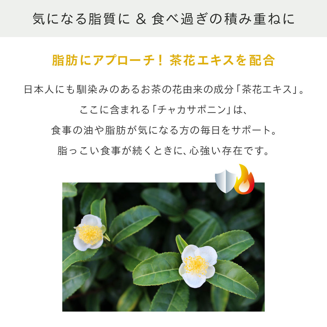 パーフェクト リポカット プレミアム<br> 脂質対策ダイエットサプリ（30日分 / 1ヶ月分）<br> 食事の脂質サポート