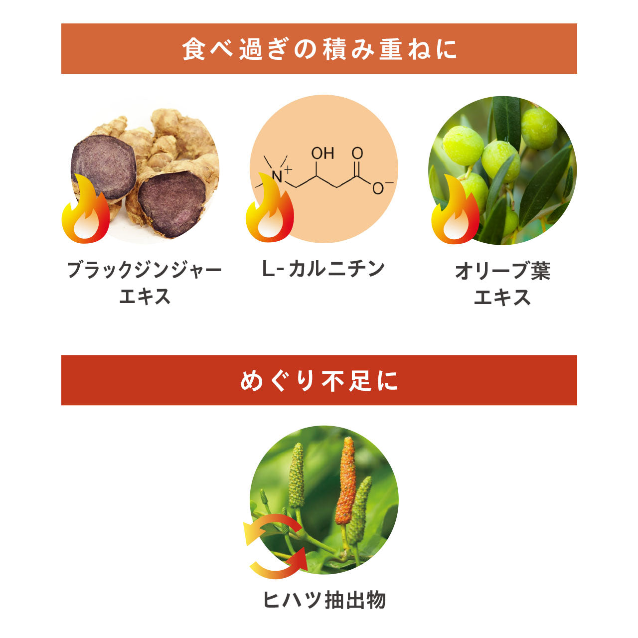 糖質対策・ダイエット】パーフェクトダイエット プレミアム（30日分