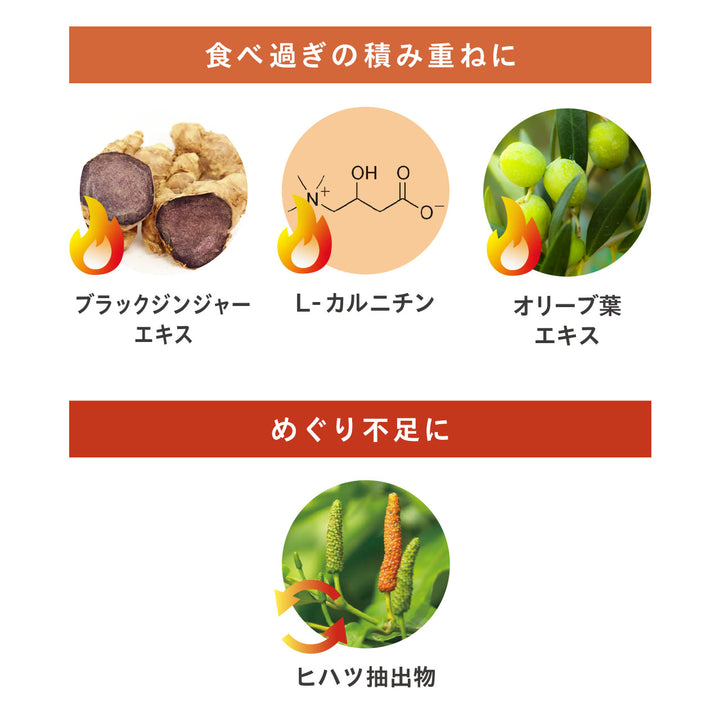 パーフェクトダイエット プレミアム<br>ダイエットサプリ（30日分 / 1ヶ月分）<br>糖質対策サポート